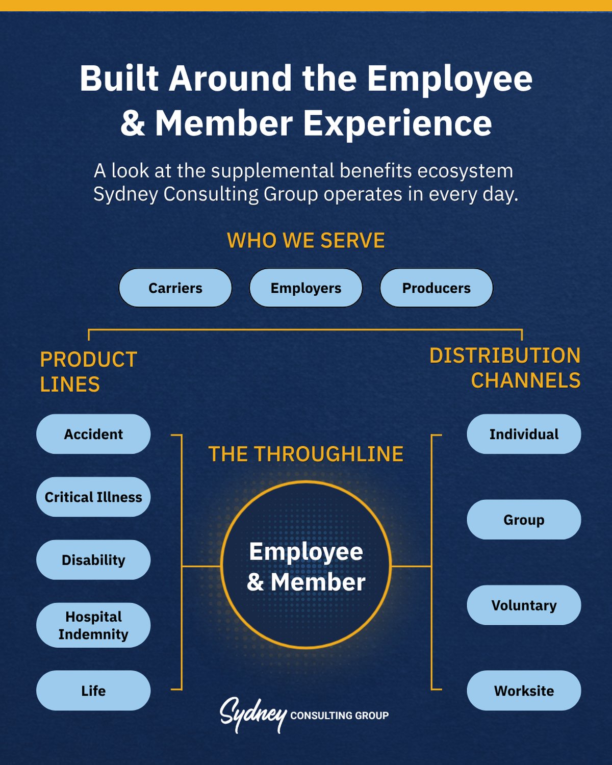 Diagram of the supplemental benefits ecosystem: carriers, employers, and producers across the top; product lines at left - accident, critical illness, disability, hospital indemnity, and life; distribution channels at right - individual, group, voluntary, and worksite; and at the center, labeled the throughline, the employee and member.